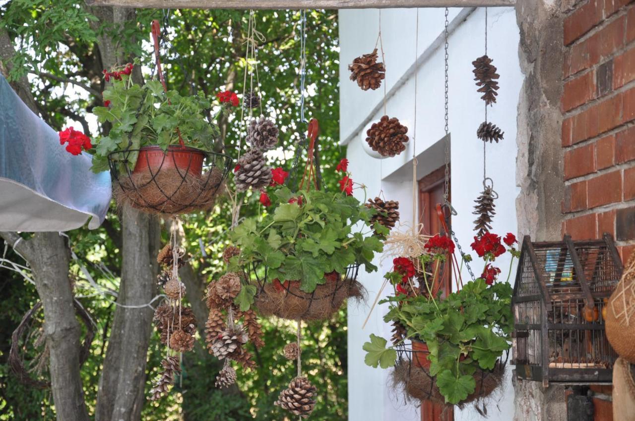 Vila Lena Meduvrsje Exteriér fotografie