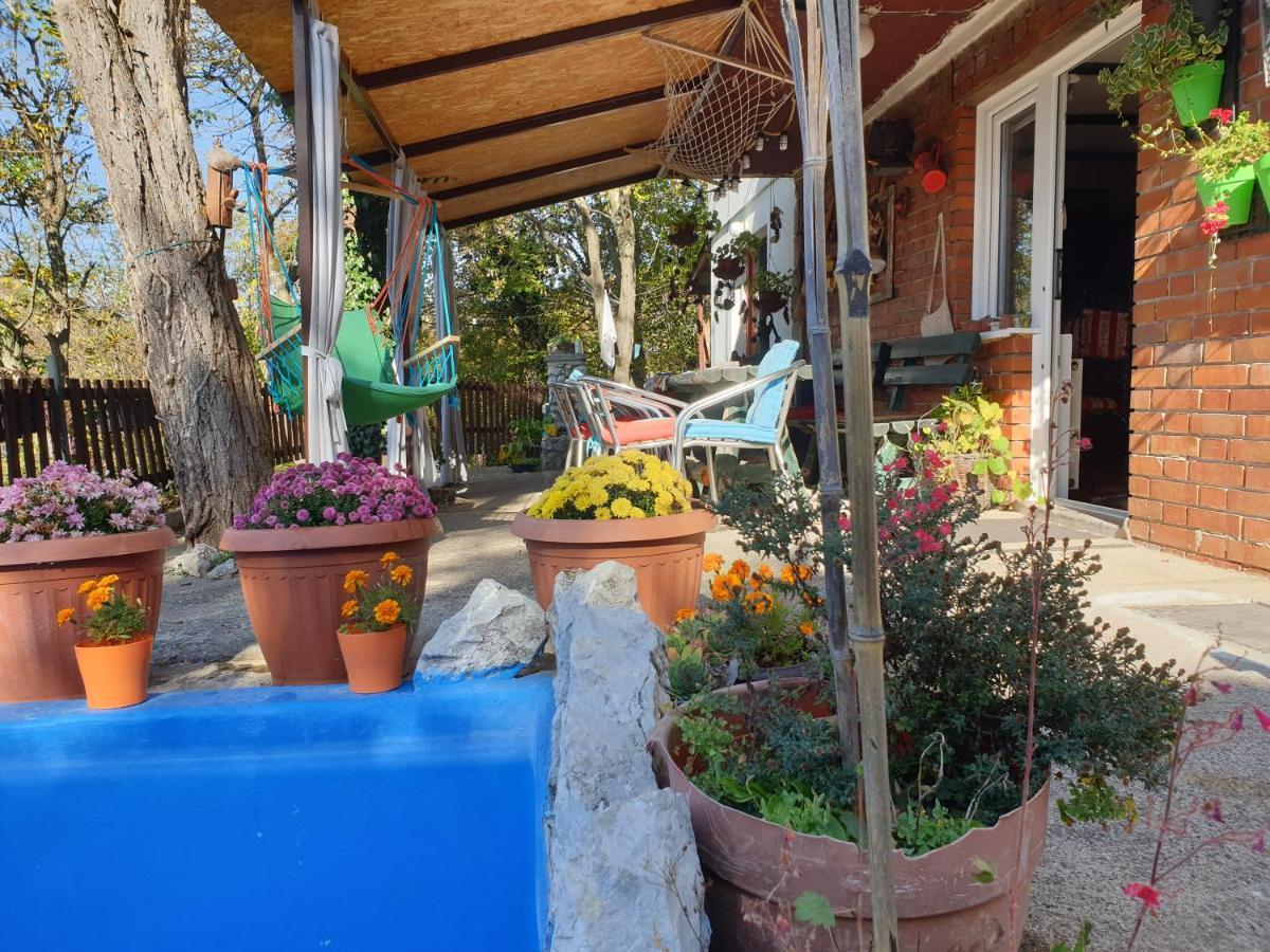 Vila Lena Meduvrsje Exteriér fotografie